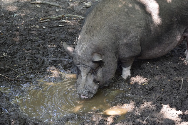 格納布里那 格納布里那