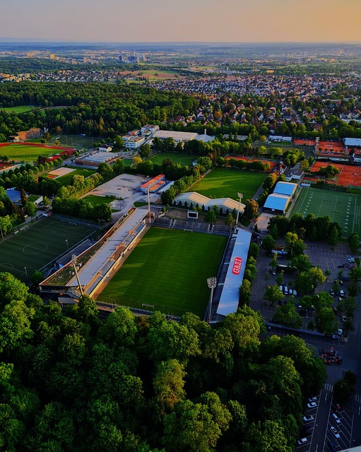 凭借坚定的 凭借坚定的