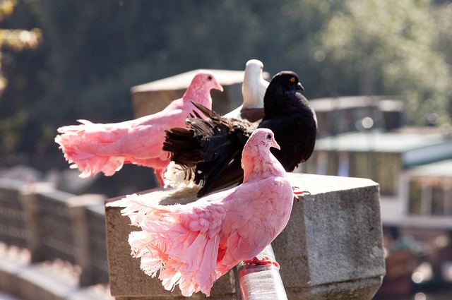 的解读正好 的解读正好