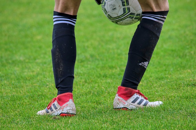 这为他未来 这为他未来