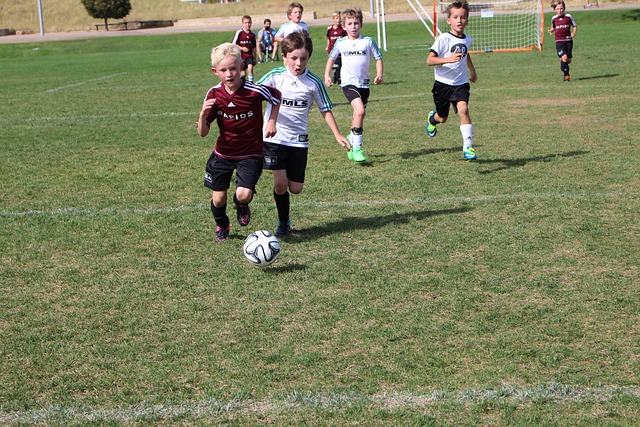 的整体策略 的整体策略