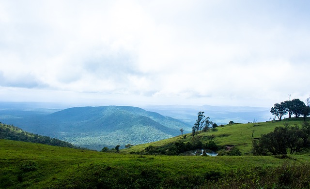 一直以来都 一直以来都