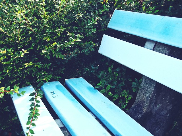 滑翔伞运动 滑翔伞运动