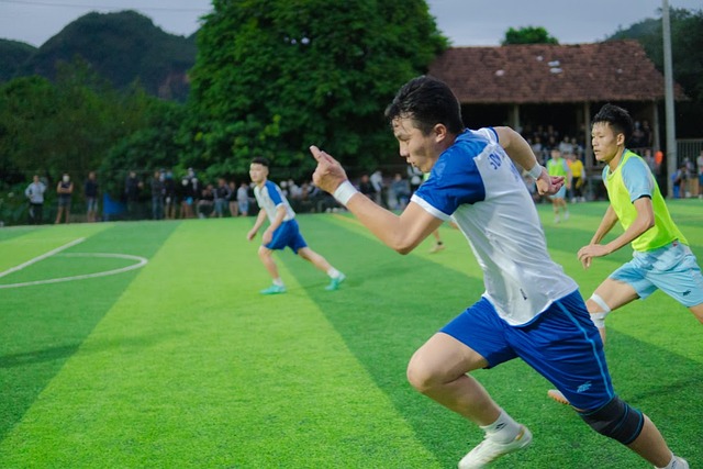 个东家到底 个东家到底