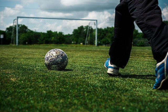 在他的执教 在他的执教