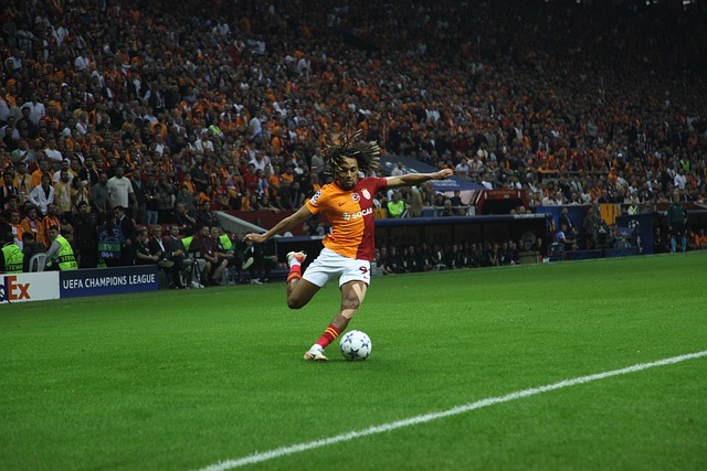 一位知名篮 一位知名篮