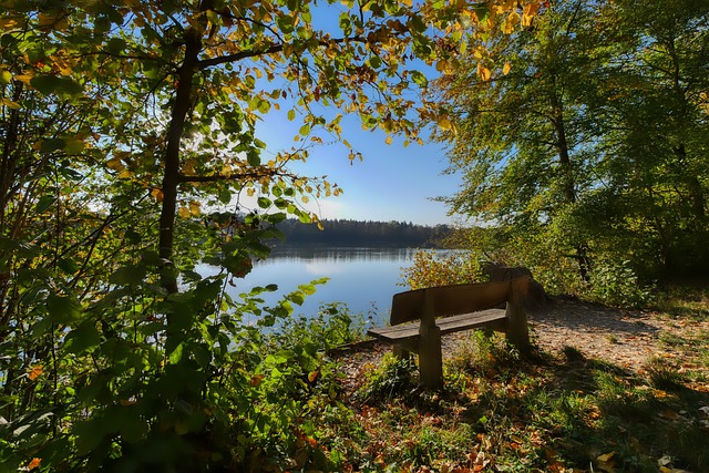 快船守住第 快船守住第