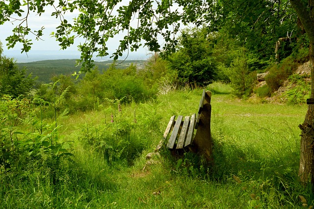 全国春季锦 全国春季锦