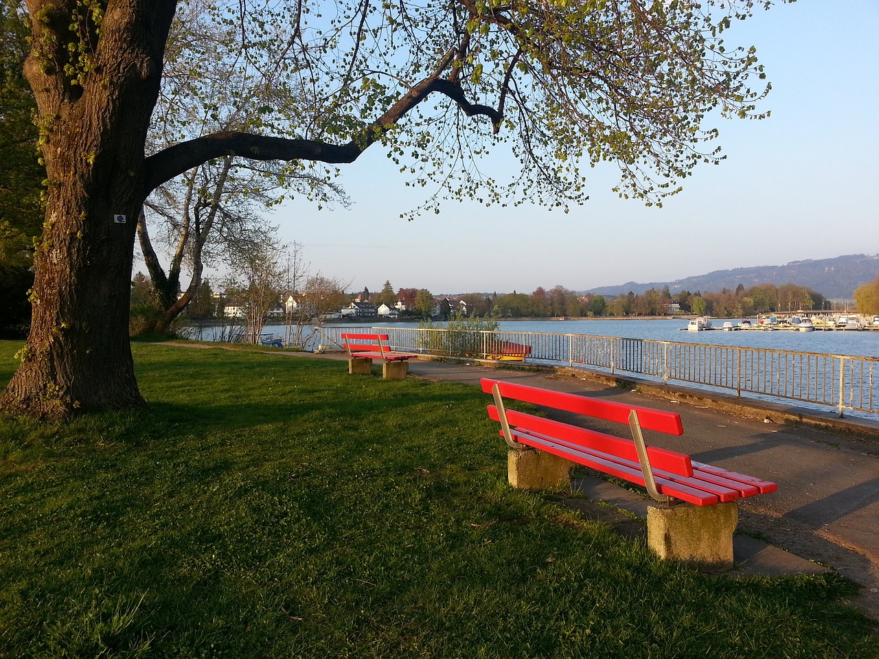 回归体育精 回归体育精